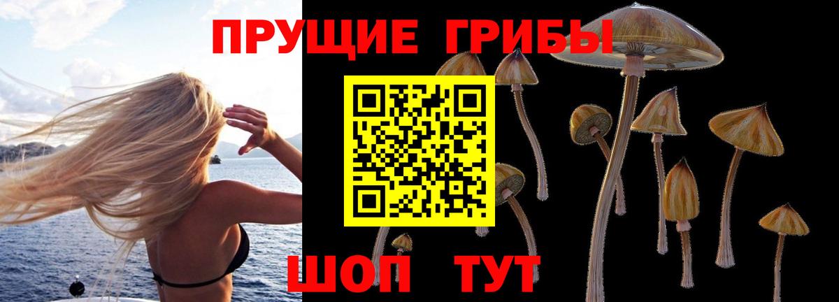 Среднеуральск  Псилоцибиновые грибы прущие грибы  Псилоцибиновые грибы мухоморы  наркота  Вход с VPN 